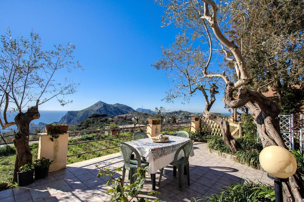 Il Pioppo - Country House Sea View Massa Lubrense Exterior foto