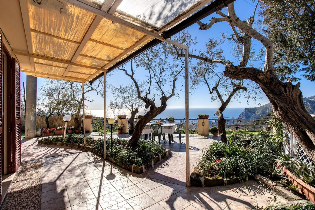 Il Pioppo - Country House Sea View Massa Lubrense Exterior foto